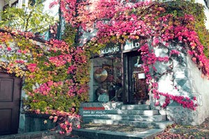 東京旅游必去景點有哪些？